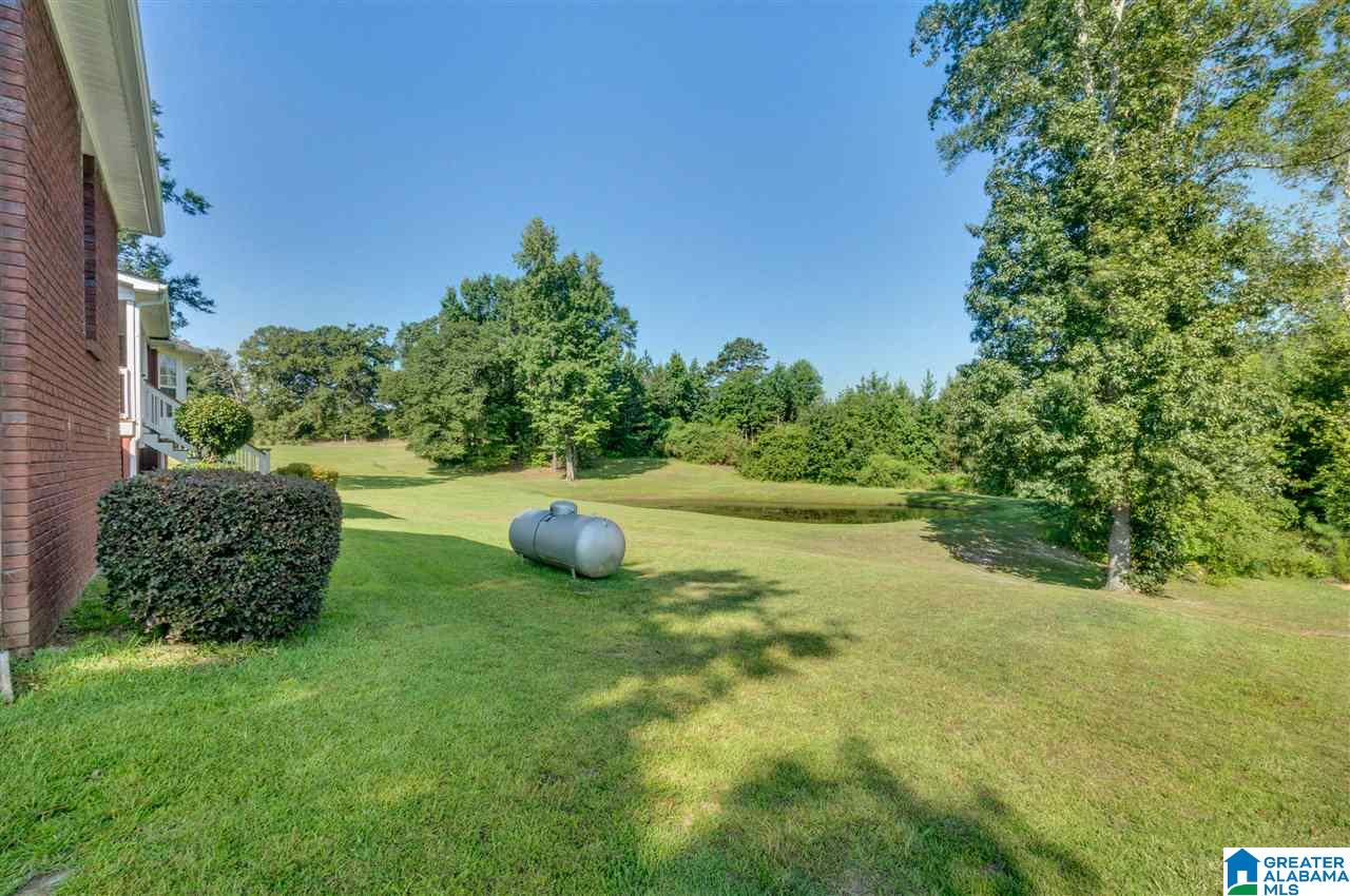 65 County Road 862 Clanton, AL 35045 - Photo 46 of 46
