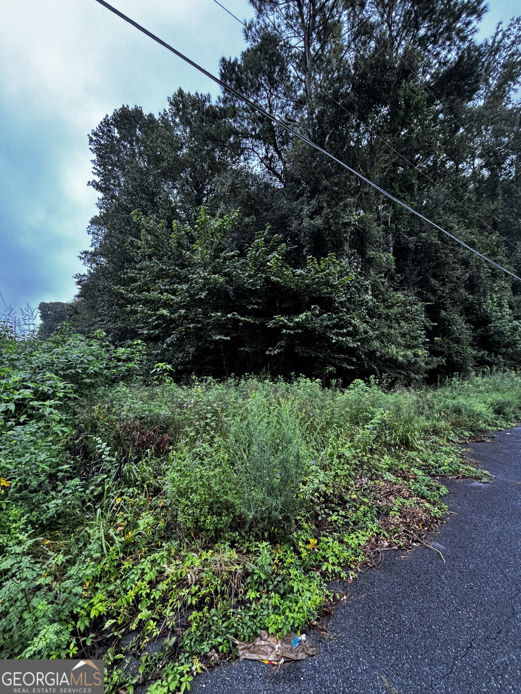 8214 Freestone Drive Jonesboro, GA 30236 - Photo 2 of 6