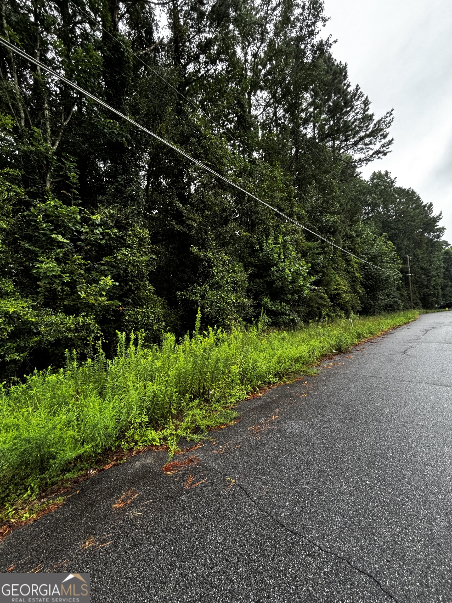 8214 Freestone Drive Jonesboro, GA 30236 - Photo 3 of 6