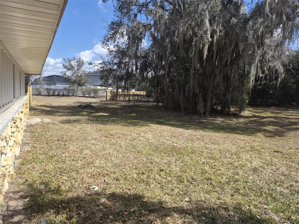 10012 Lake Louisa Road Clermont, FL 34711 - Photo 15 of 25 a view of a yard with large trees