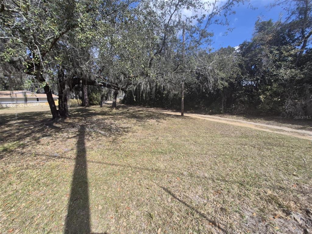 10012 Lake Louisa Road Clermont, FL 34711 - Photo 17 of 25 a view of empty yard with trees