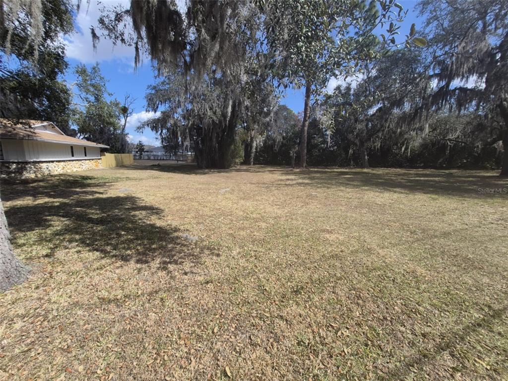 10012 Lake Louisa Road Clermont, FL 34711 - Photo 18 of 25 a view of a yard with a tree