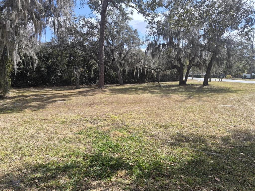 10012 Lake Louisa Road Clermont, FL 34711 - Photo 20 of 25 a view of outdoor space with trees