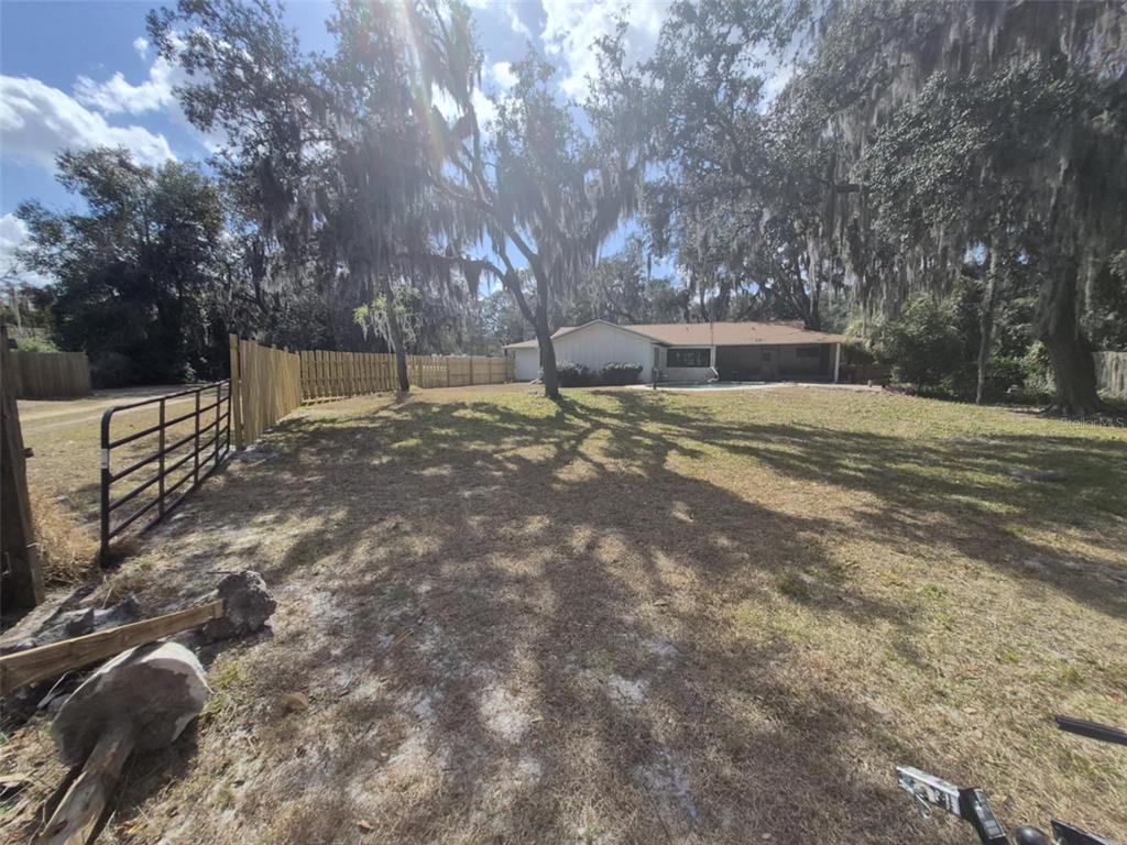 10012 Lake Louisa Road Clermont, FL 34711 - Photo 24 of 25 a view of backyard with tree