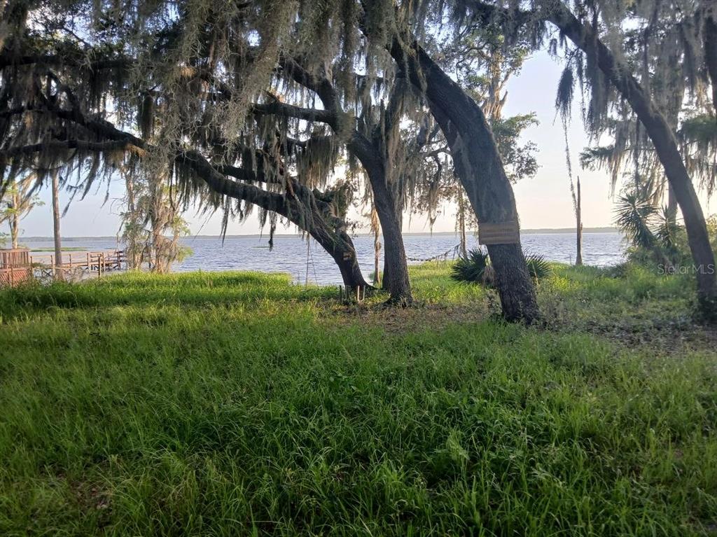10012 Lake Louisa Road Clermont, FL 34711 - Photo 25 of 25 a view of backyard with green space