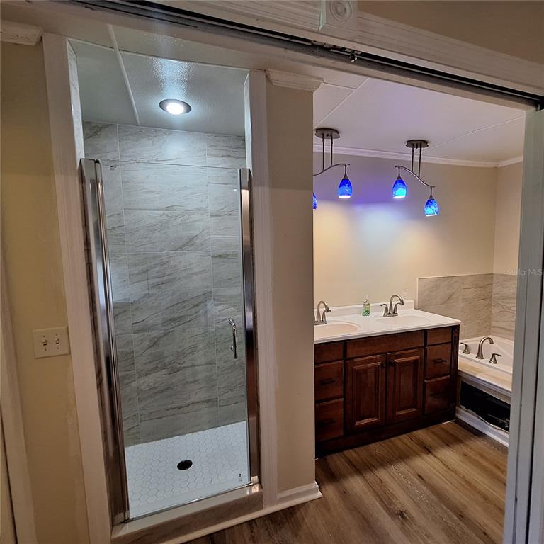 10012 Lake Louisa Road Clermont, FL 34711 - Photo 8 of 25 a bathroom with a bathtub and a sink