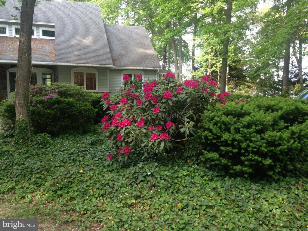 12058 South Piney Point Road Bishopville, MD 21813 - Photo 42 of 46 Gallery Image 42