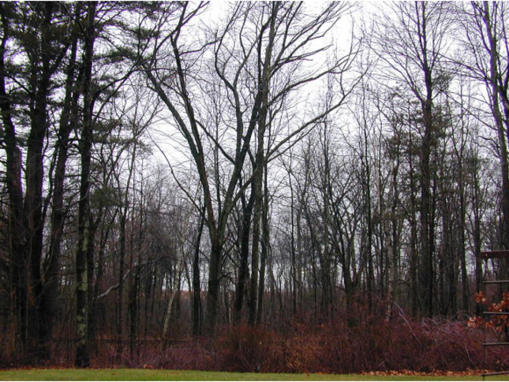 16 Dumbarton Oaks Road Stratham, NH 03885 - Photo 28 of 28