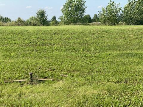 778 Wheatfield Avenue Sugar Grove, IL 60554 - Photo 6 of 8 a view of a field with a tree in it