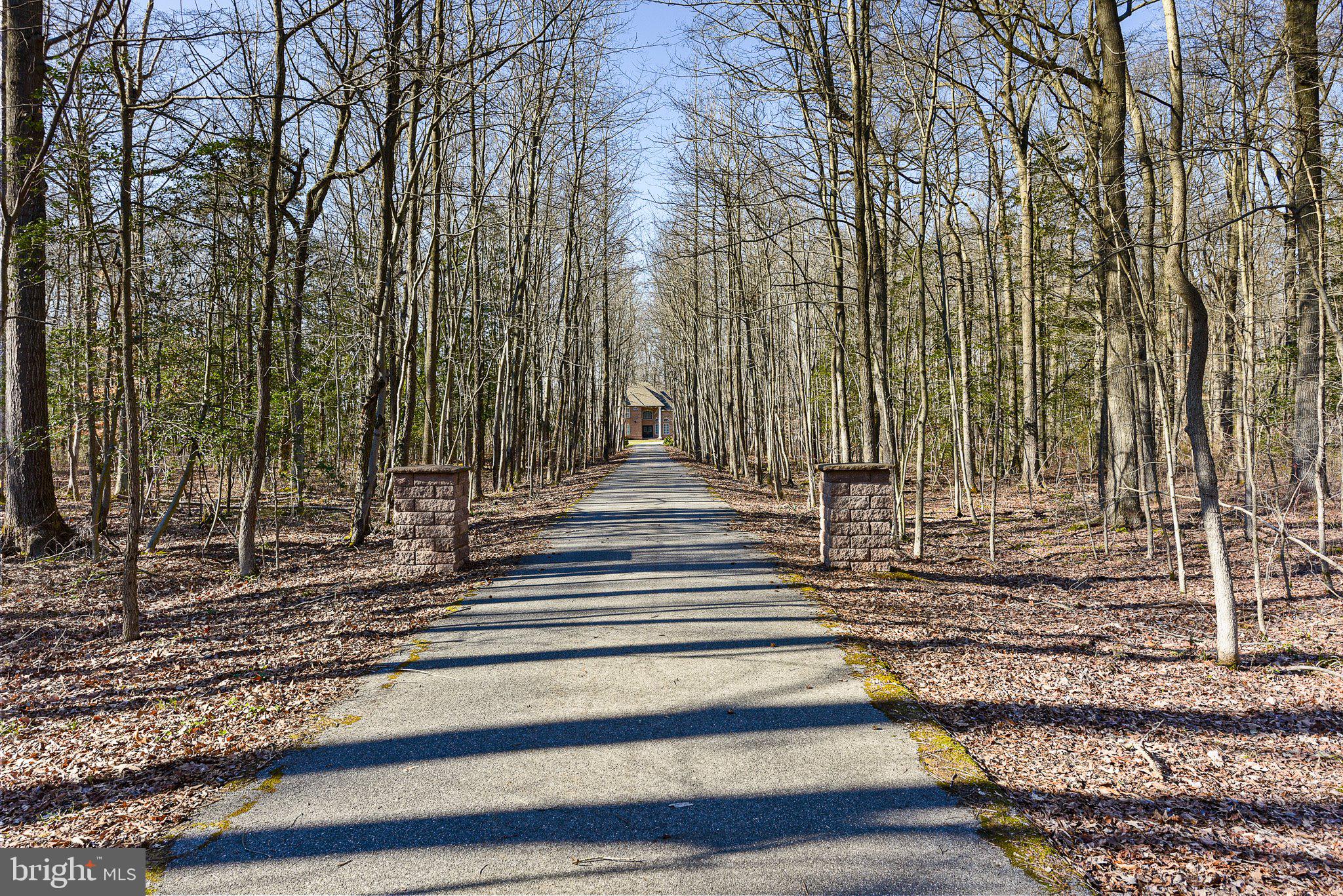 3107 Leipsic Road Dover, DE 19901 - Photo 2 of 50 Tree lined entance