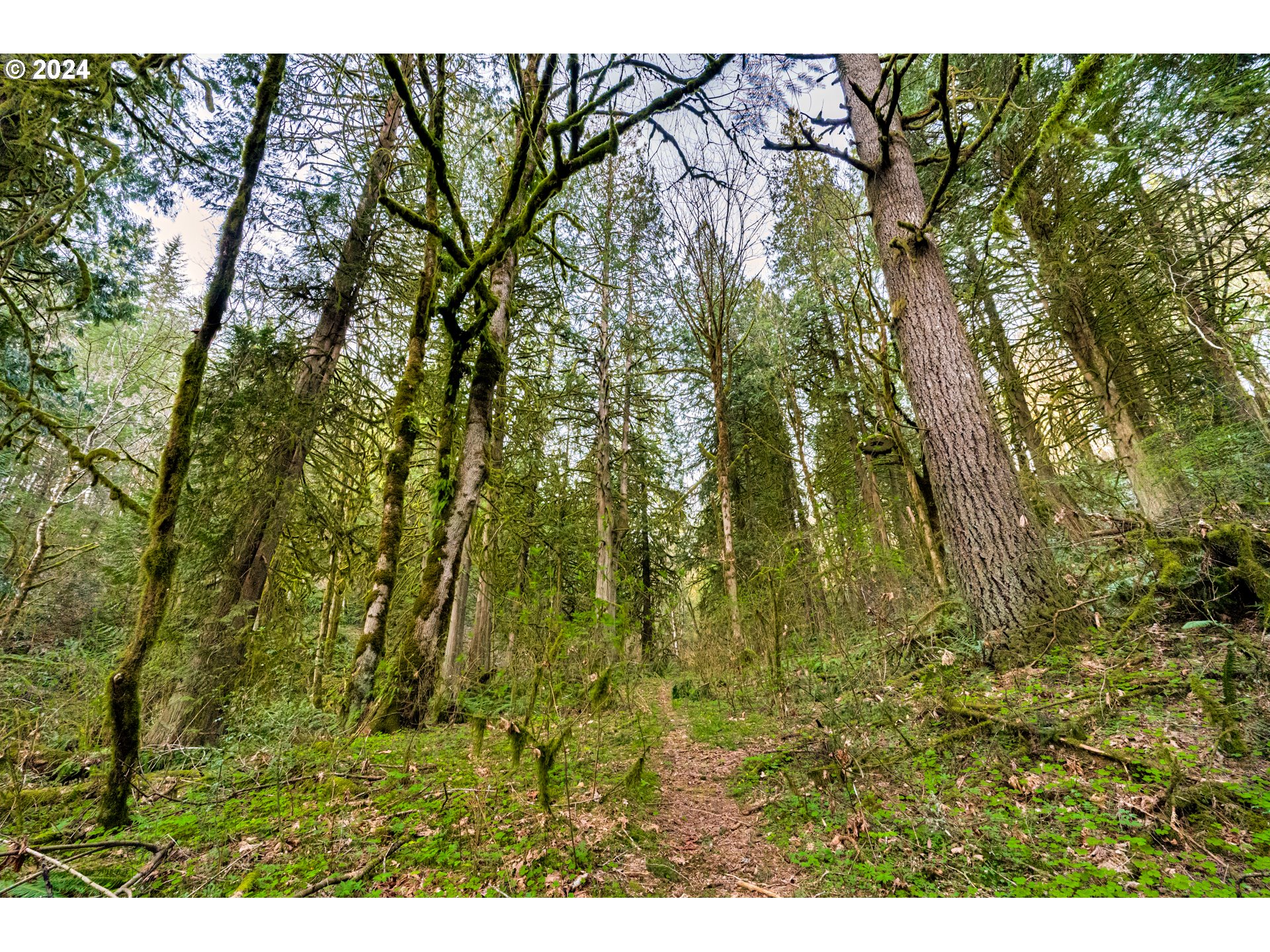 625 Englert Road Woodland, WA 98674 - Photo 36 of 45 Gallery Image 36