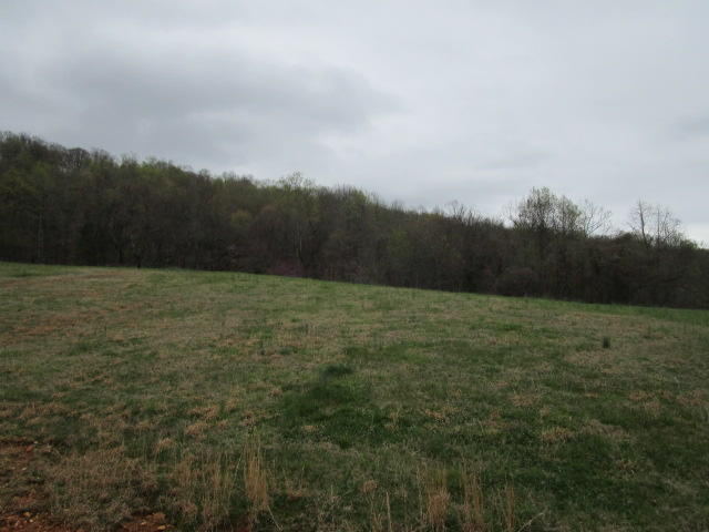 652 Collins Road Blaine, TN 37709 - Photo 13 of 13 IMG_1907