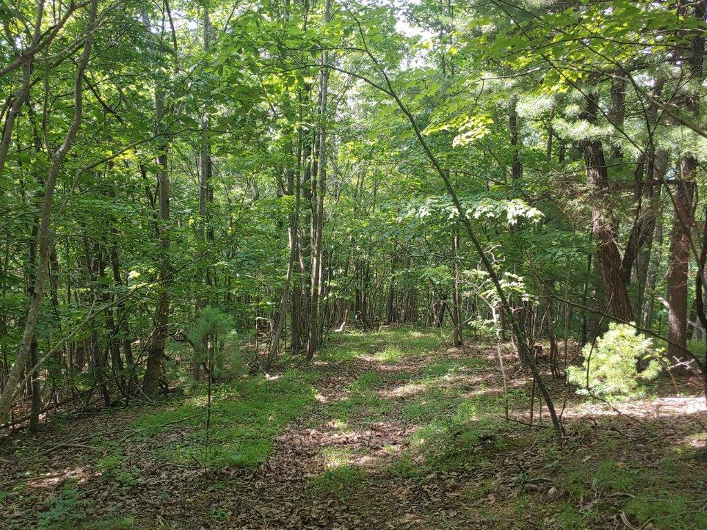 0 Fishers View Road Pilot, VA 24138 - Photo 1 of 12 0618211616