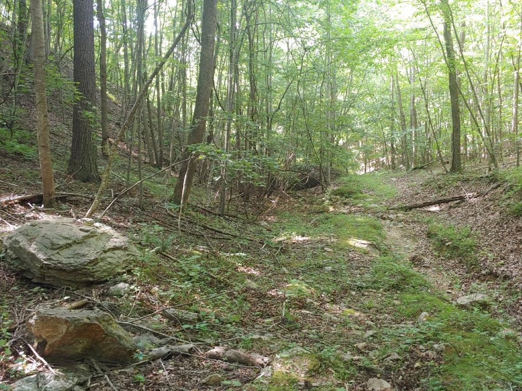 0 Fishers View Road Pilot, VA 24138 - Photo 2 of 12 0618211647