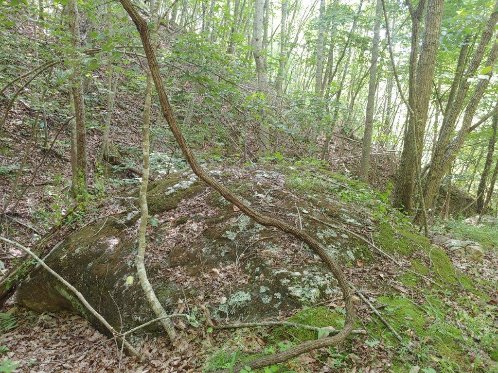 0 Fishers View Road Pilot, VA 24138 - Photo 12 of 12 0618211648