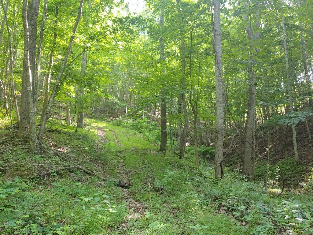 0 Fishers View Road Pilot, VA 24138 - Photo 3 of 12 0618211645_HDR