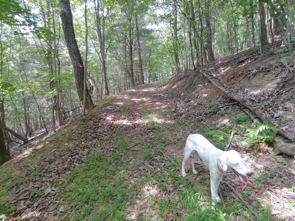0 Fishers View Road Pilot, VA 24138 - Photo 4 of 12 0618211555