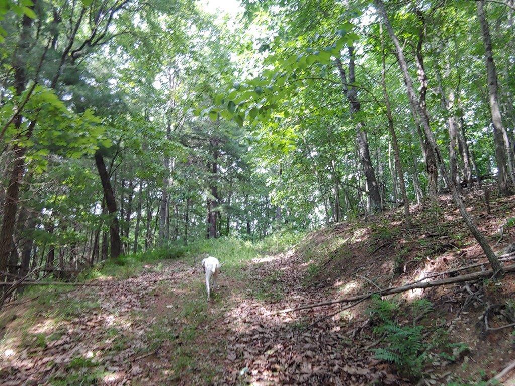 0 Fishers View Road Pilot, VA 24138 - Photo 5 of 12 0618211555a