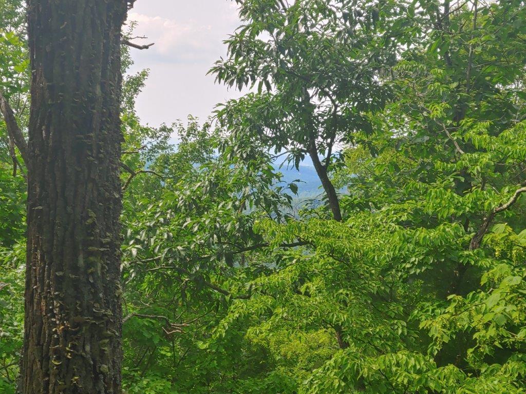 0 Fishers View Road Pilot, VA 24138 - Photo 6 of 12 0618211605_HDR
