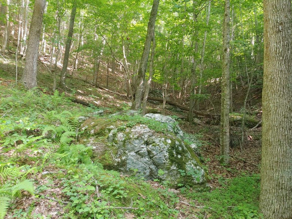 0 Fishers View Road Pilot, VA 24138 - Photo 9 of 12 0618211644