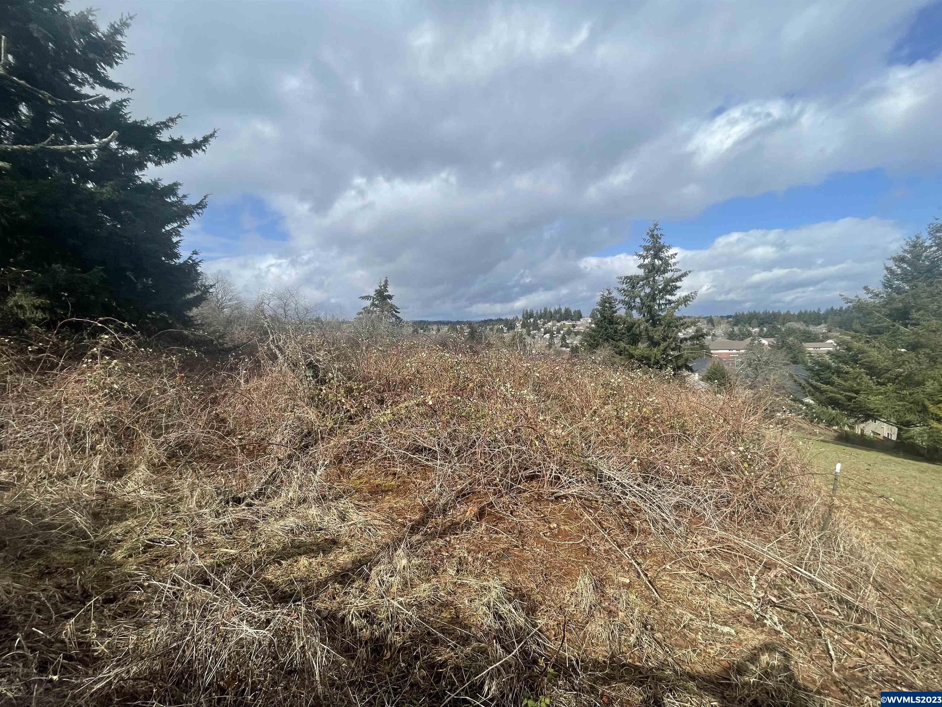 1396 Davis Road South Salem, OR 97306 - Photo 2 of 10