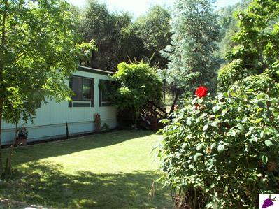 28905 Cassandra Road Tollhouse, CA 93667 - Photo 1 of 9 Front yard