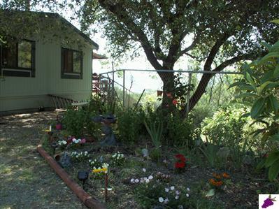 28905 Cassandra Road Tollhouse, CA 93667 - Photo 9 of 9 Flower bed