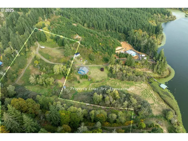 a view of a plant in a garden