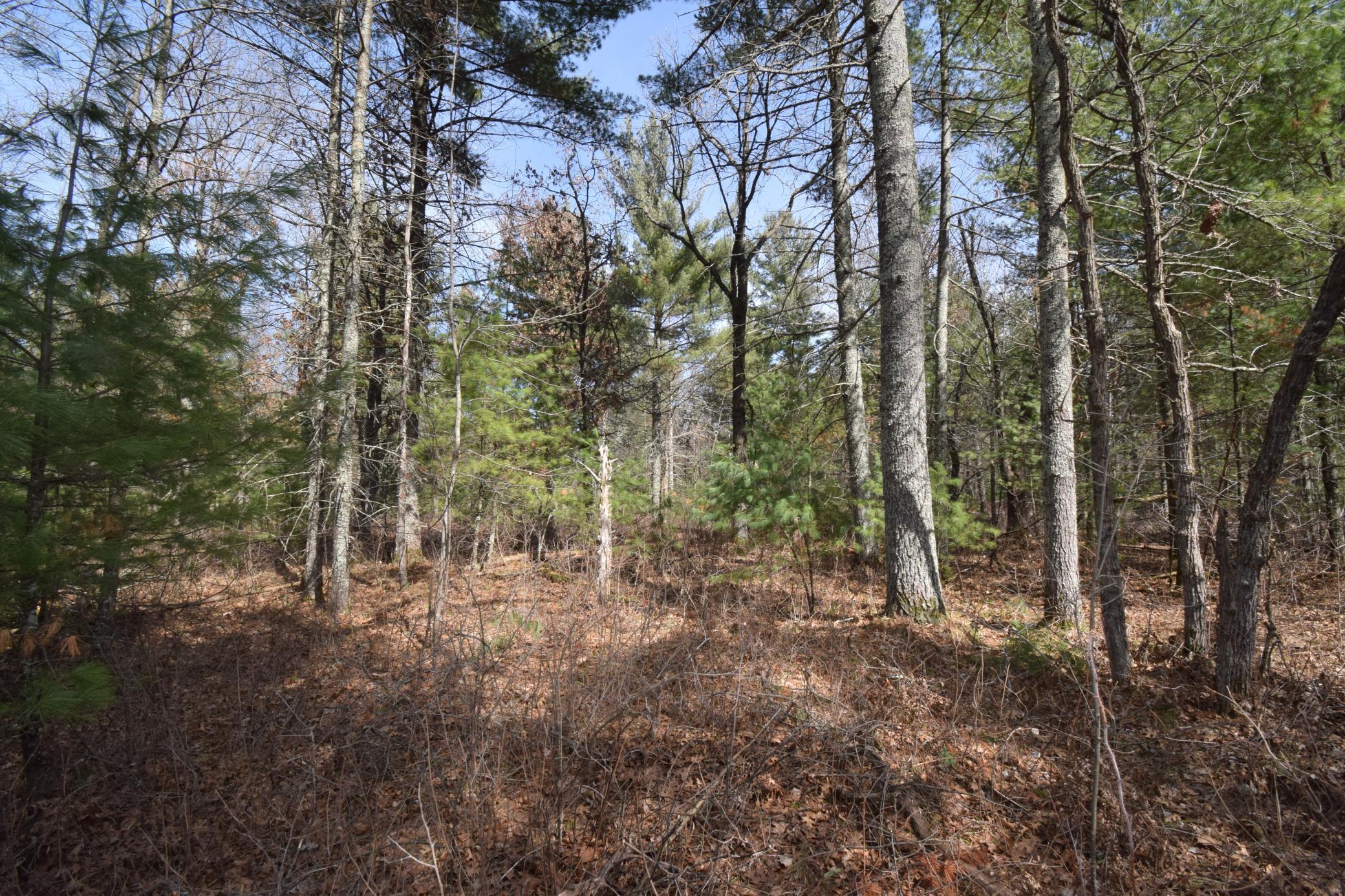 Lot 3 Larson Road Grantsburg, WI 54840 - Photo 4 of 11