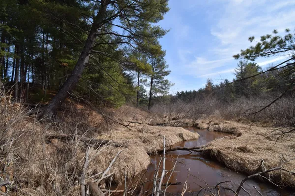 $103,500 | Lot 3 Larson Road, Grantsburg, WI 54840