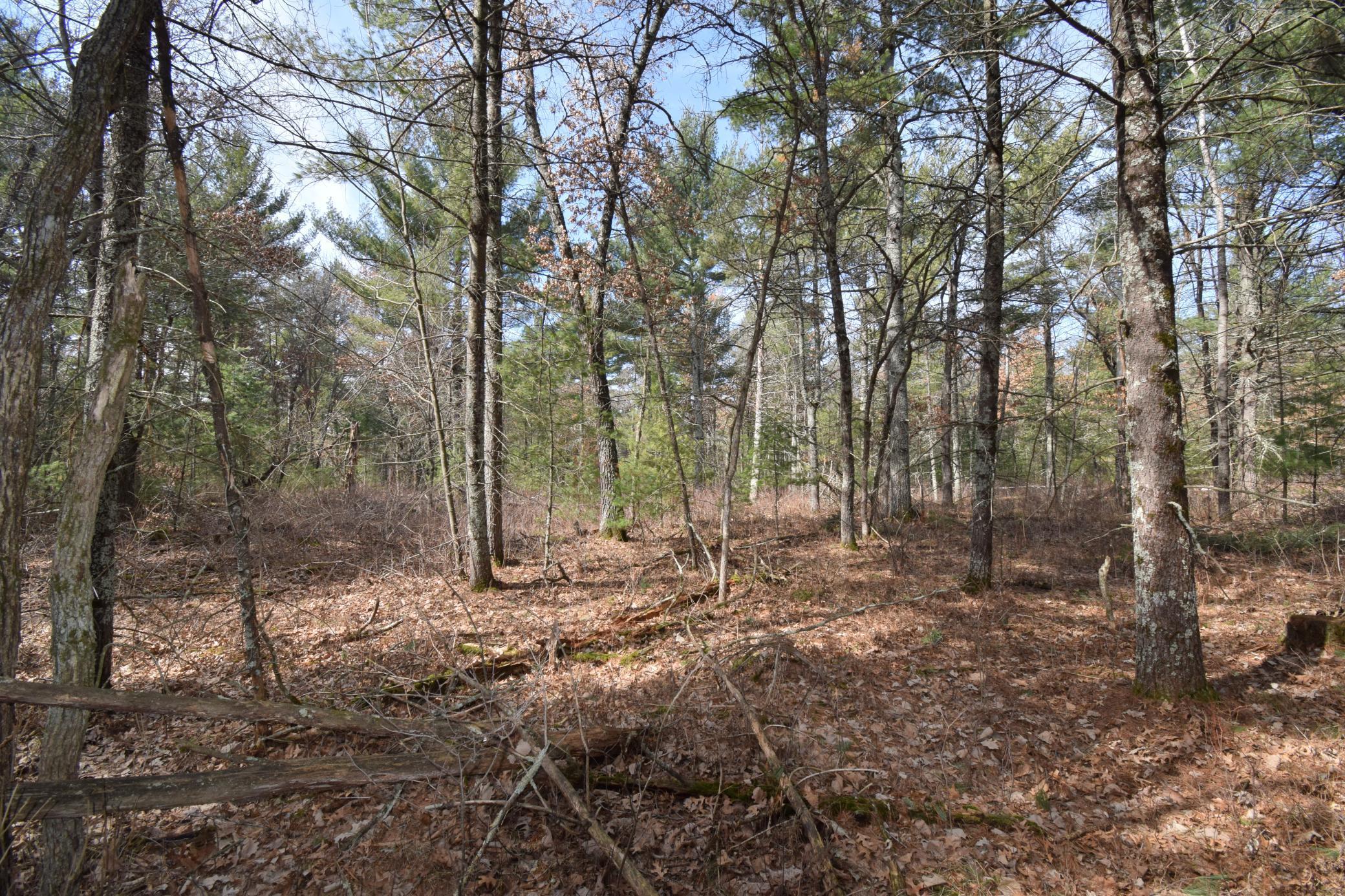 Lot 3 Larson Road Grantsburg, WI 54840 - Photo 7 of 11