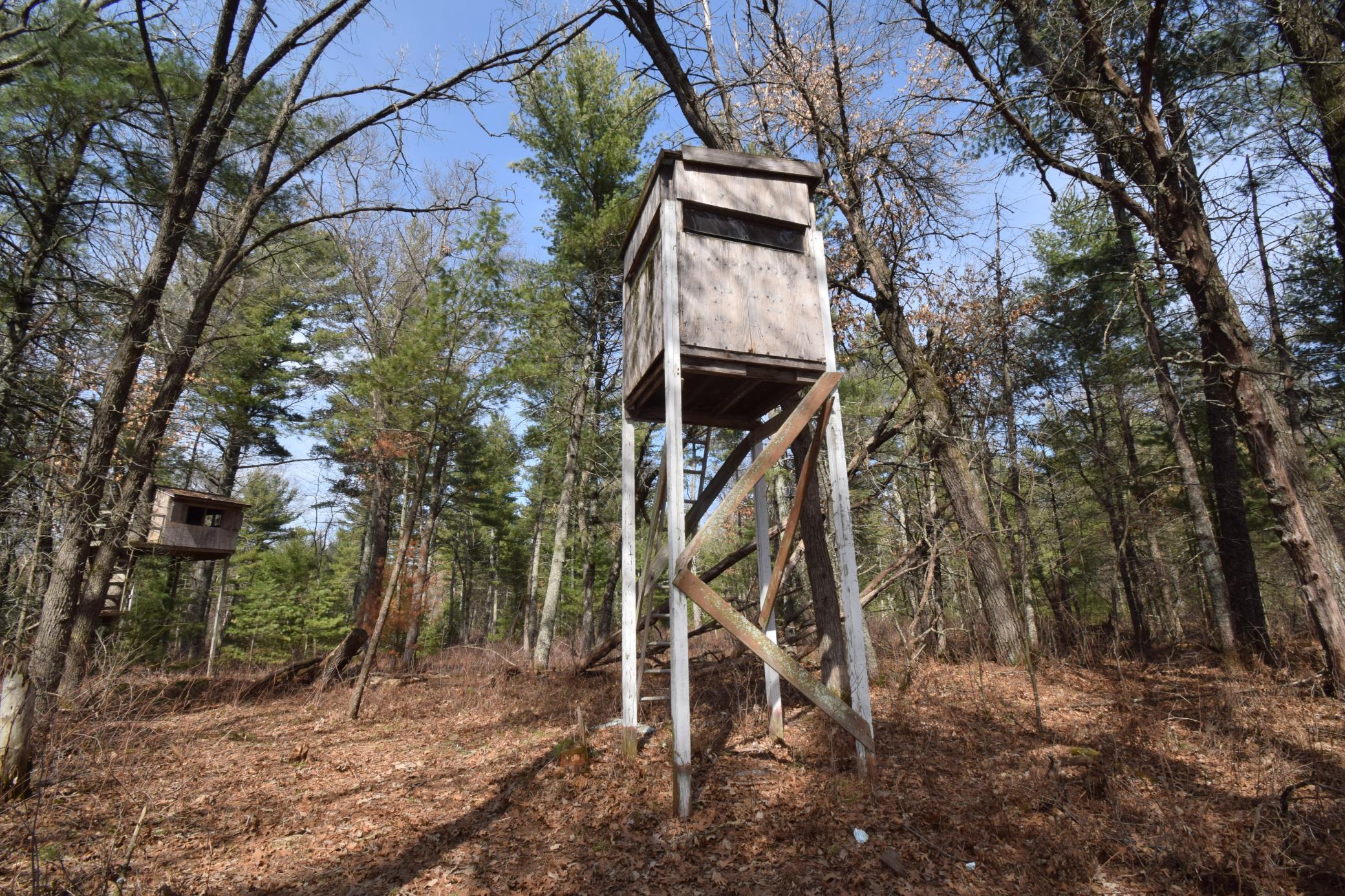 Lot 3 Larson Road Grantsburg, WI 54840 - Photo 8 of 11