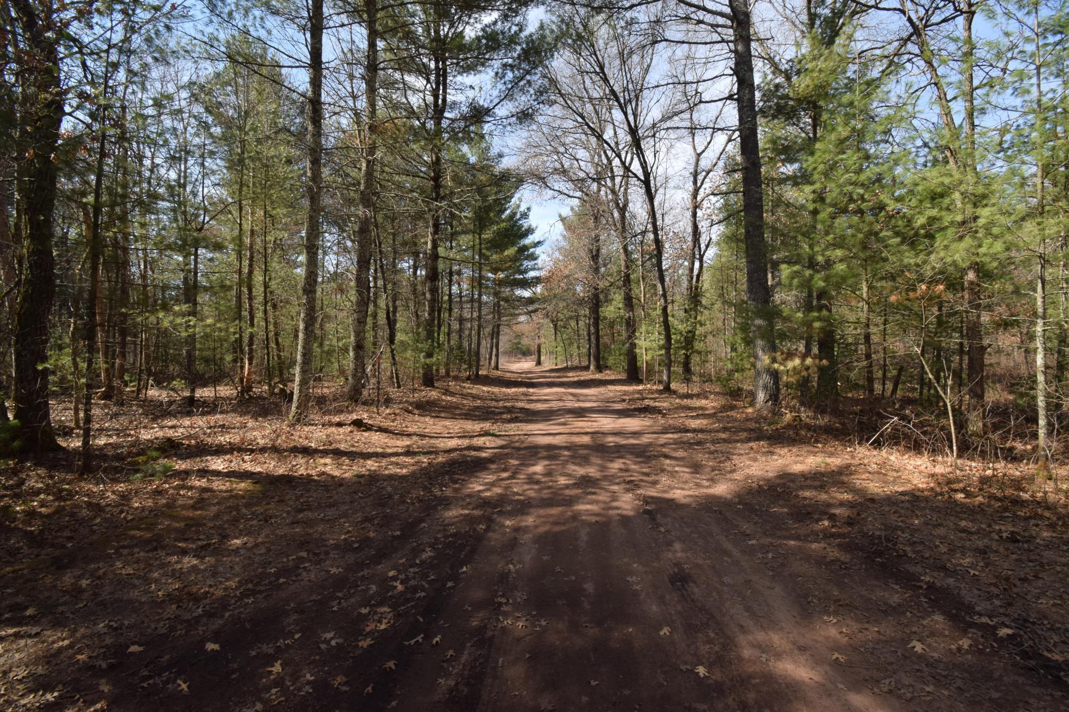 Lot 3 Larson Road Grantsburg, WI 54840 - Photo 9 of 11