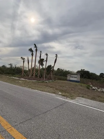 a view of a dry yard with wooden fence