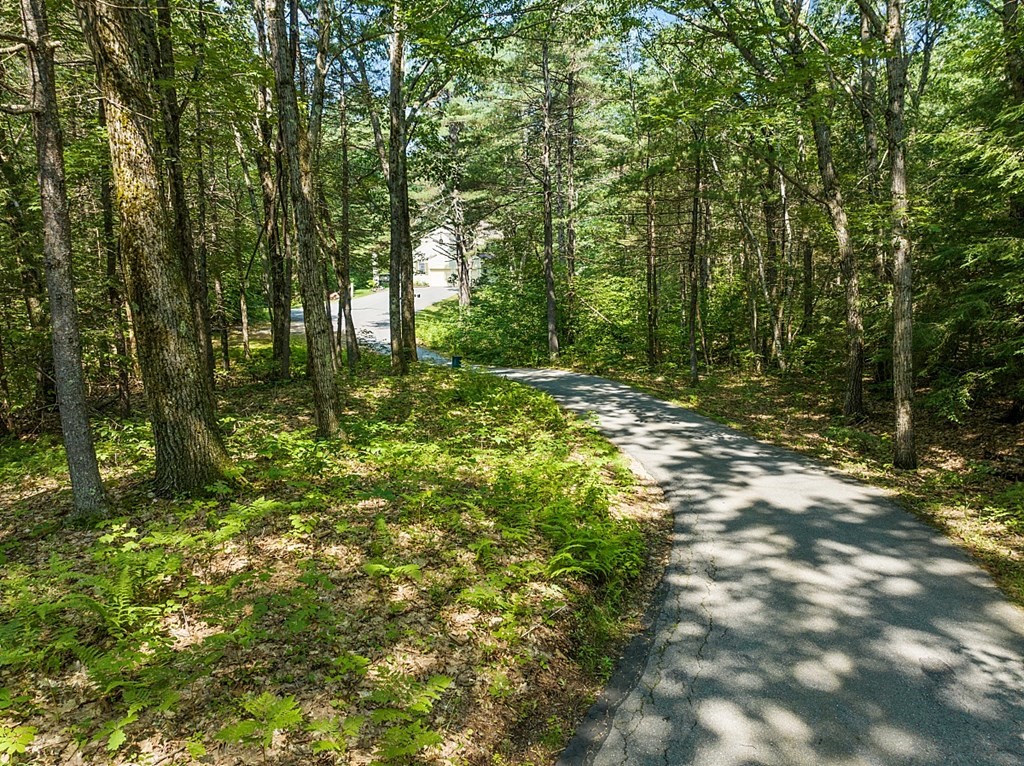323 Knower Road Westminster, MA 01473 - Photo 42 of 42 a big yard with lots of green space and trees