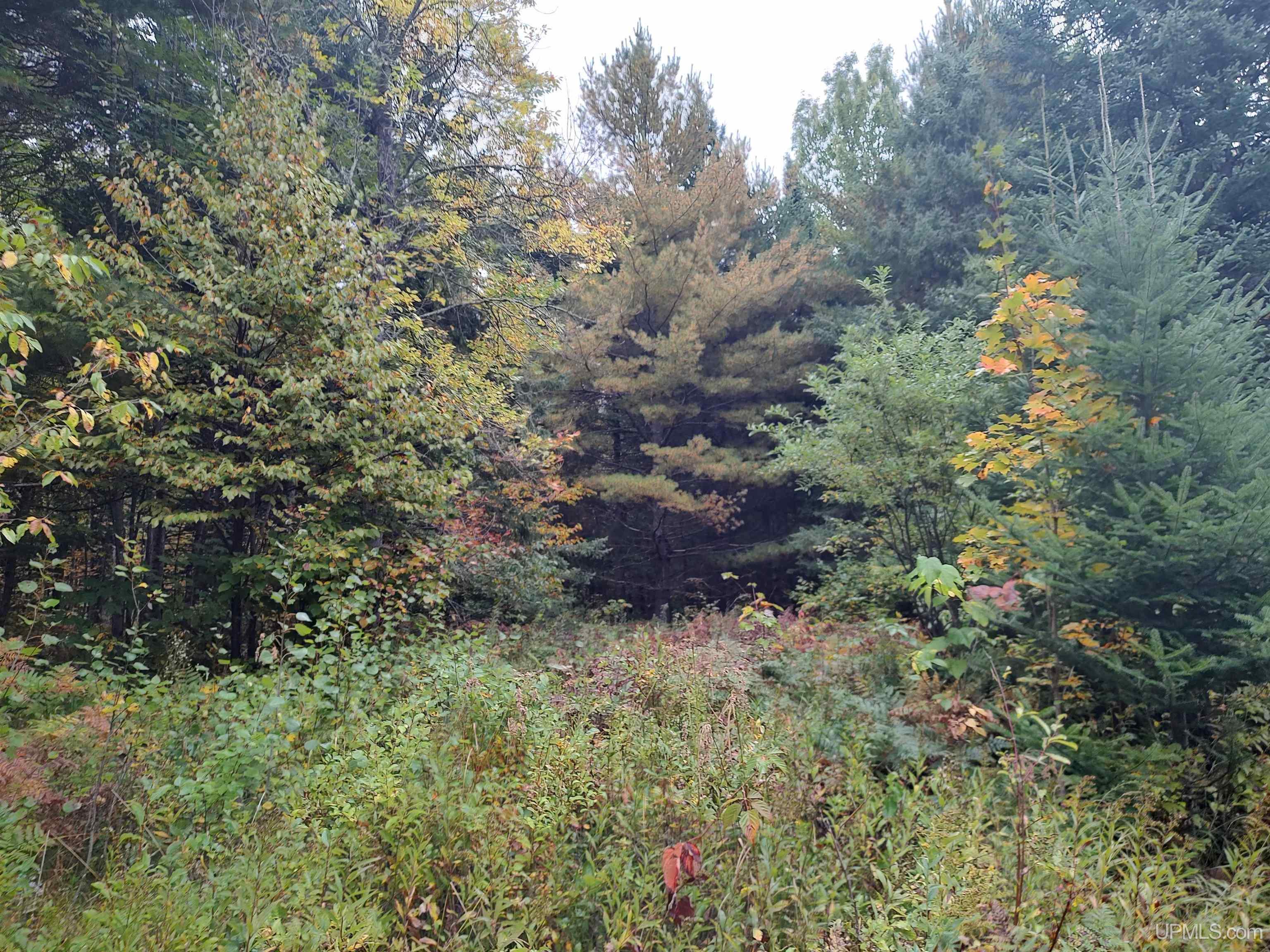 Tbd South Laird Road Pelkie, MI 49958 - Photo 13 of 25