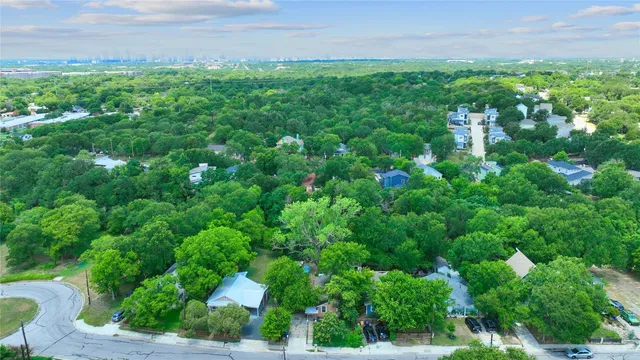a view of a big yard with plants and large trees