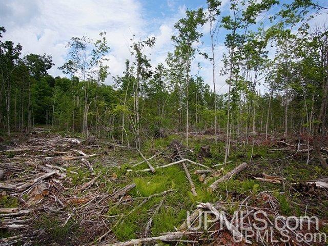 40-acres Co Rd 467 Germfask, MI 49836 - Photo 16 of 22