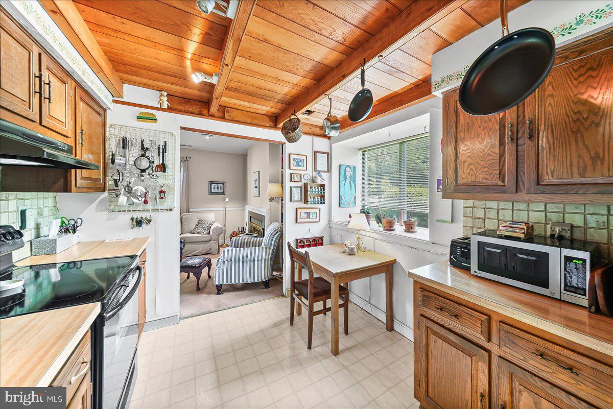 1101 Brinton Place Road West Chester, PA 19380 - Photo 10 of 31 Custom Ceiling Complimenting Solid Wood Cabinets