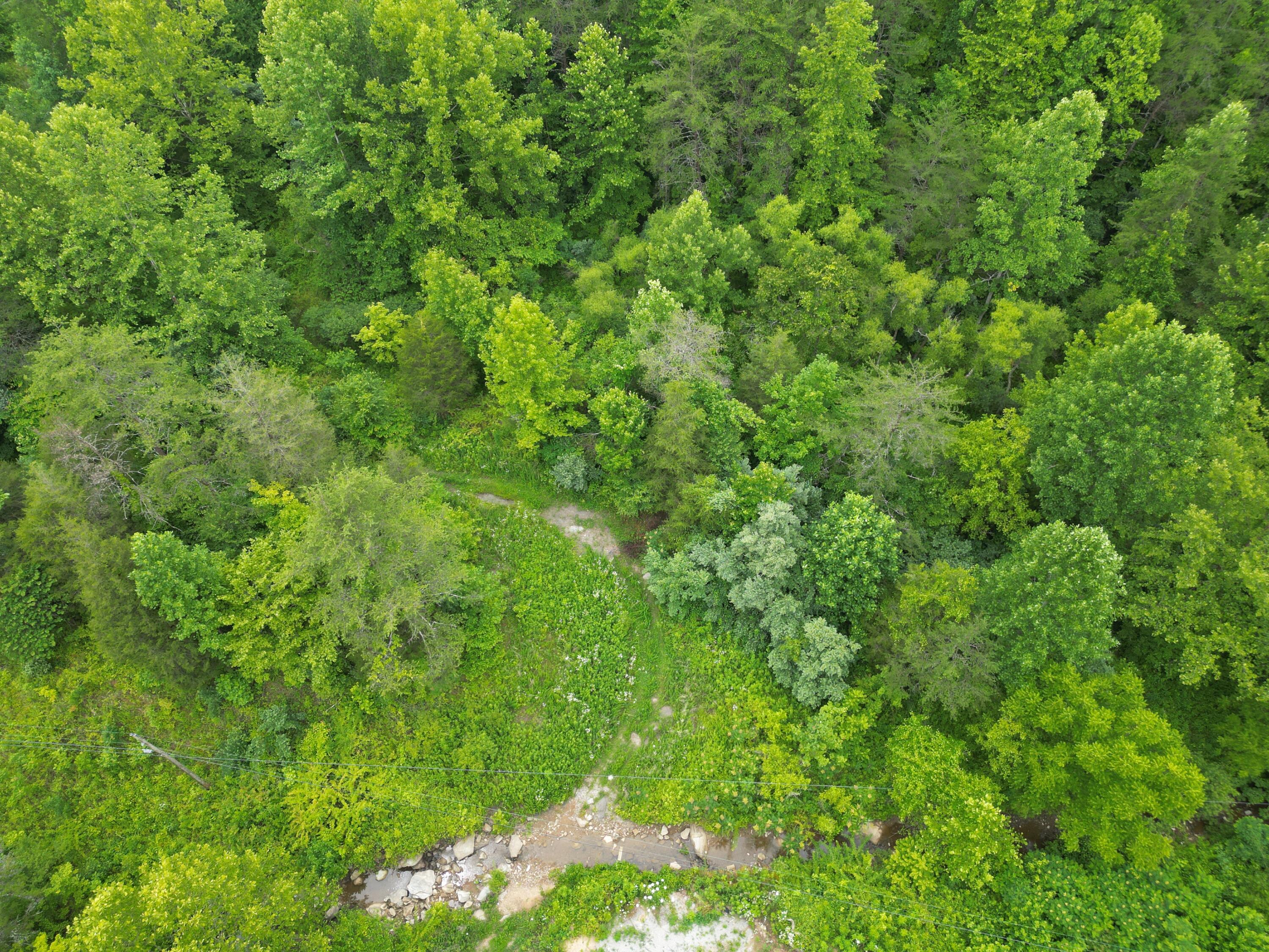 9991 Big Wildcat Road Manchester, KY 40962 - Photo 18 of 19 DJI_0124