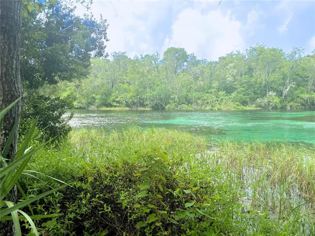 a view of a swimming pool and lounge chairs