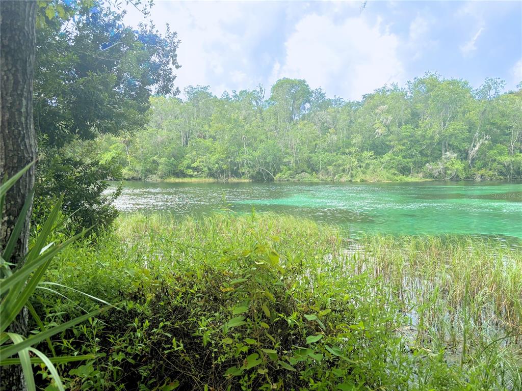 19569 Southwest 77th Place Dunnellon, FL 34432 - Photo 47 of 49