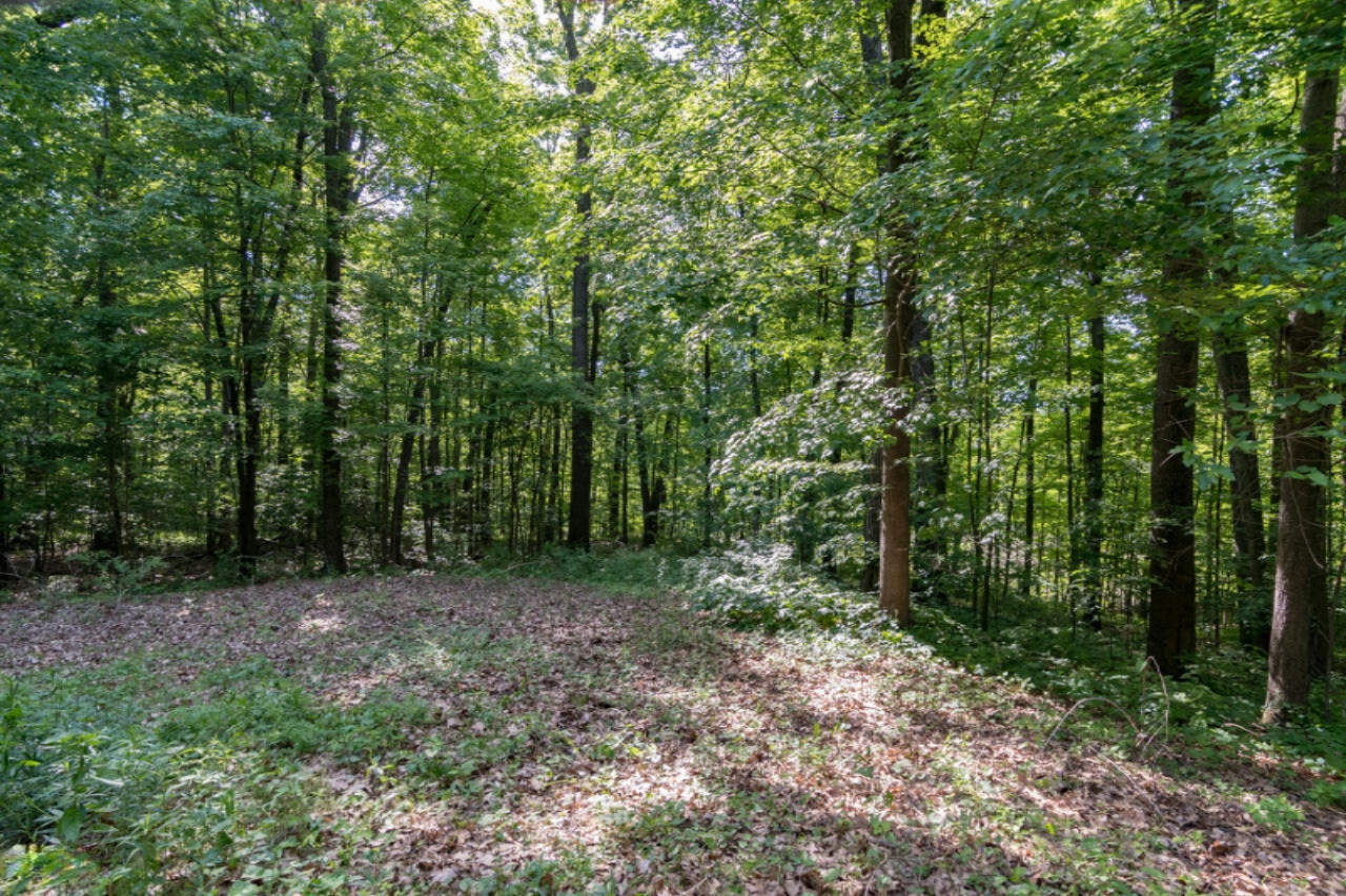 13213 Kane Road Plainwell, MI 49080 - Photo 21 of 24 Kane Rd