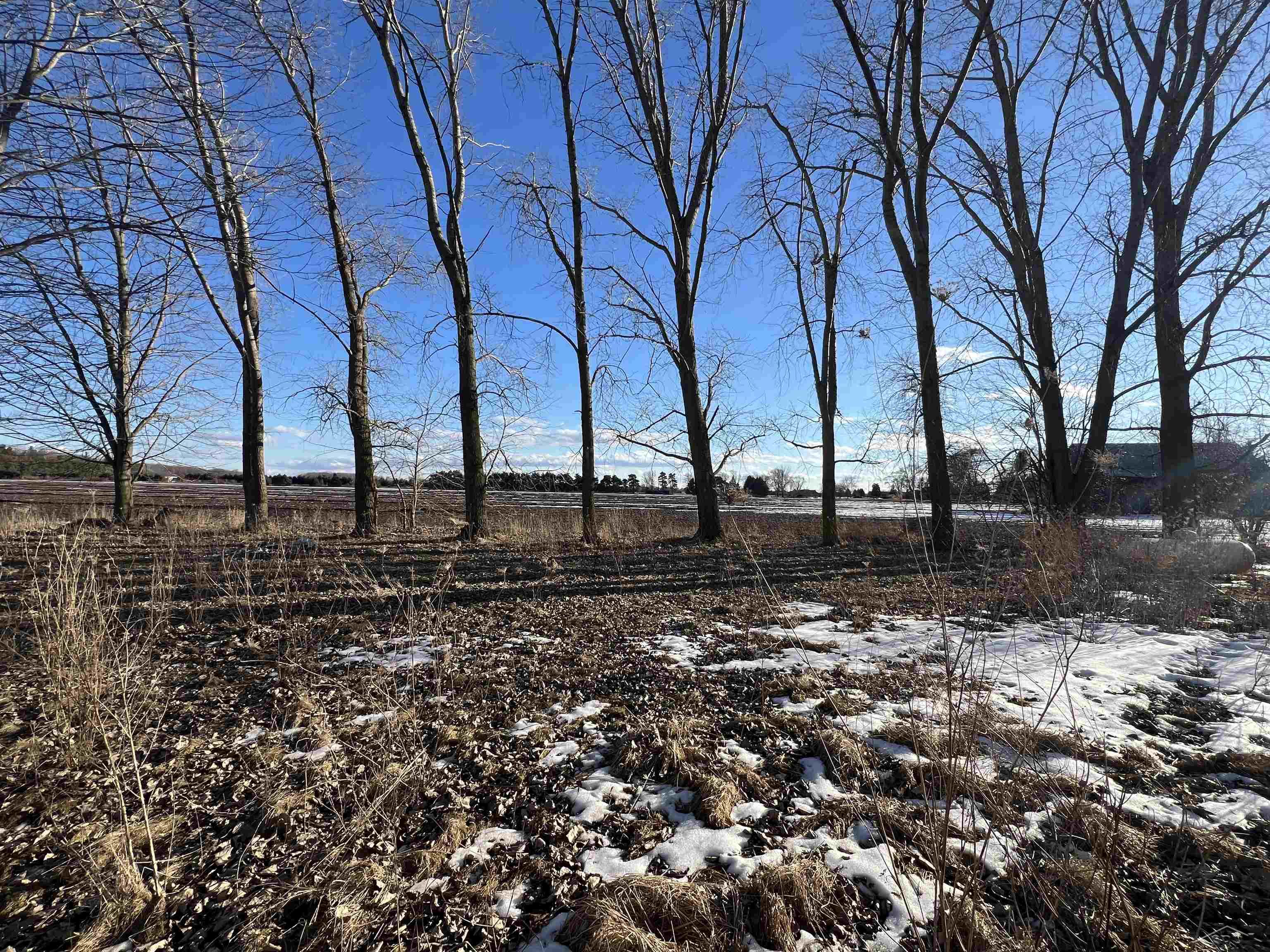19821 Dice Road Merrill, MI 48637 - Photo 21 of 21