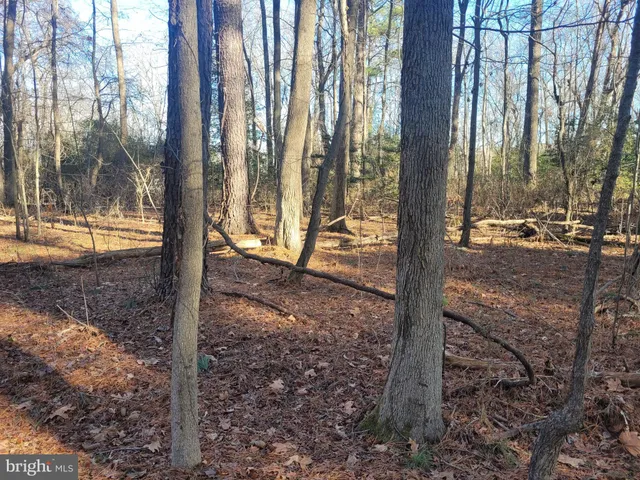 $11,500 | Lot 13 Holiday Lane, Hague, VA 22469