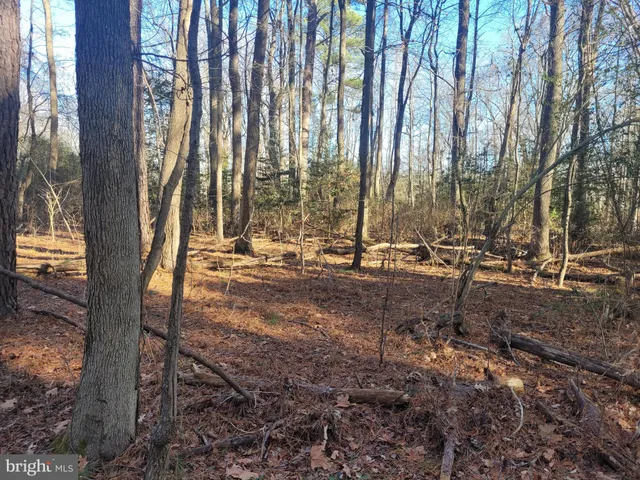 $11,500 | Lot 13 Holiday Lane, Hague, VA 22469