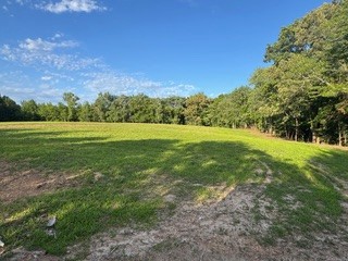 3 Mathis Road Charlotte, TN 37036 - Photo 3 of 23 Gallery Image 3