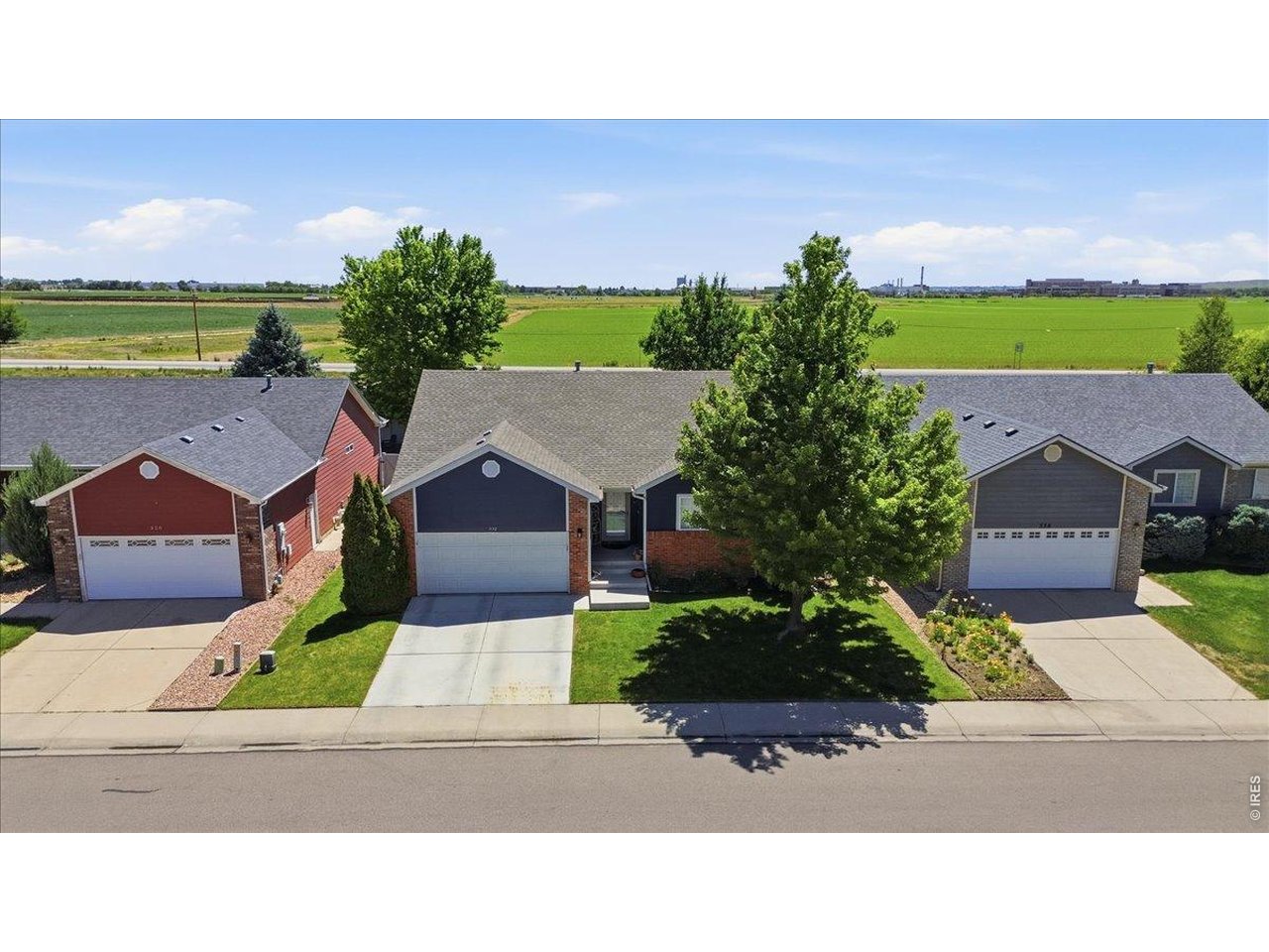 332 Whitney Bay, Unit BAY Windsor, CO 80550 - Photo 7 of 14