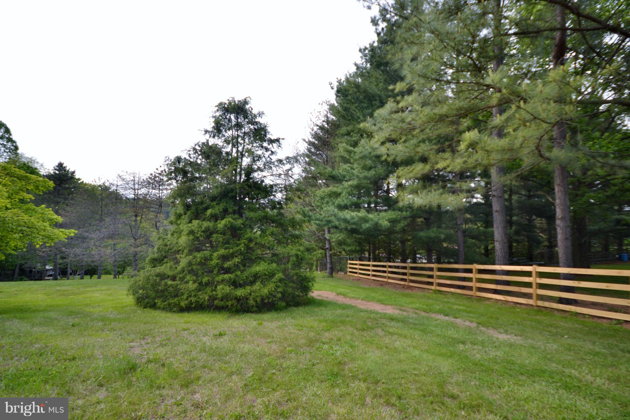 2714 Bachman Road Manchester, MD 21102 - Photo 7 of 30 Picturesque property is a wooded oasis