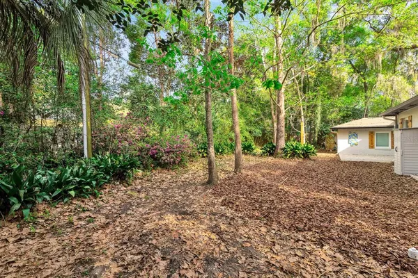 a view of a house with a tree in the yard